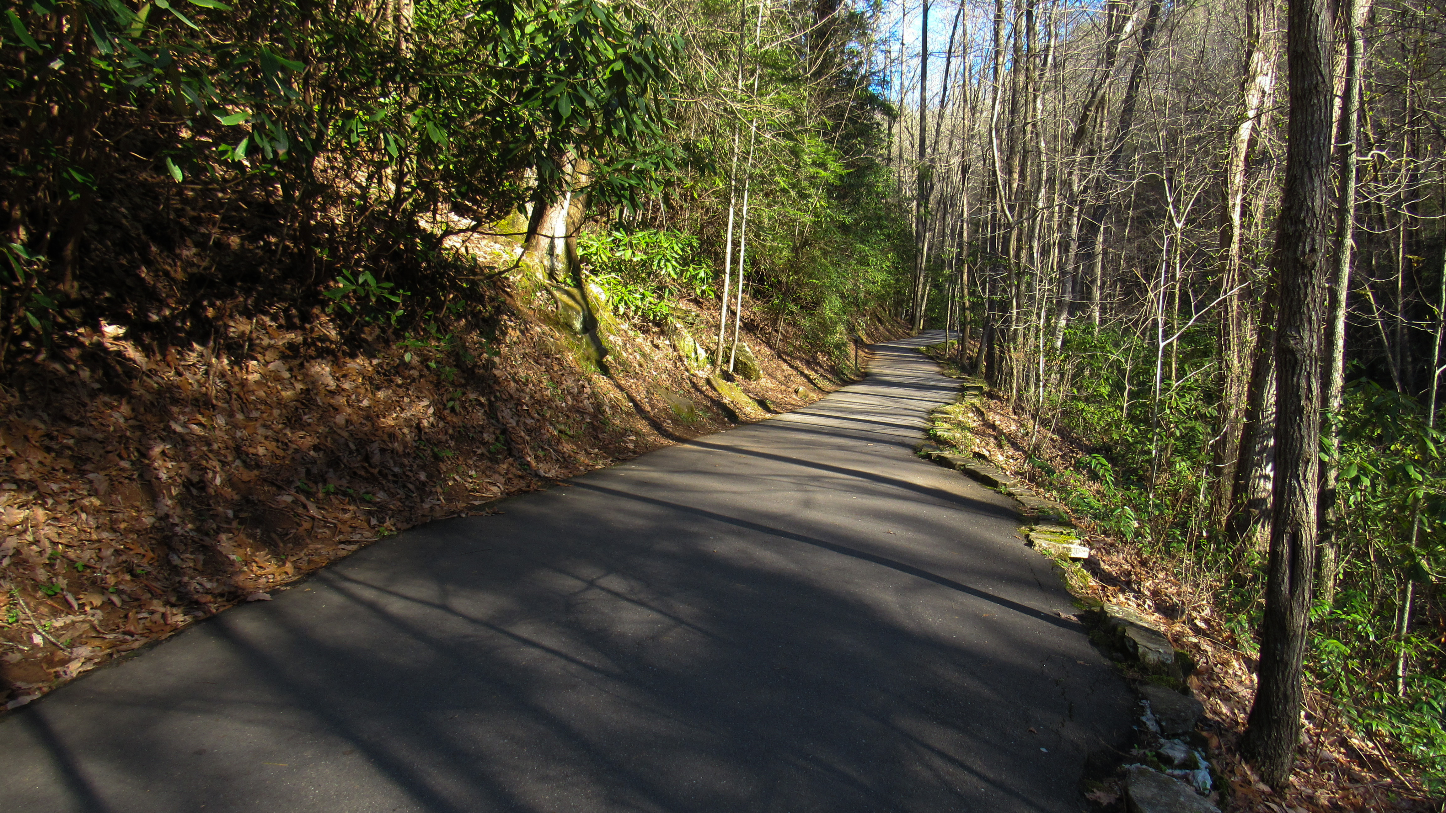 Anna Ruby Falls sees so much foot traffic that it&#039;s environmentally better to just pave the path.